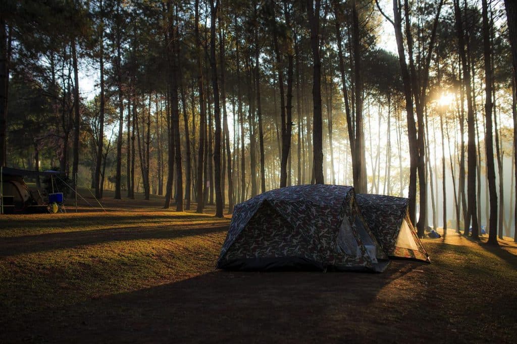Save Money on your Next Road Trip campsite