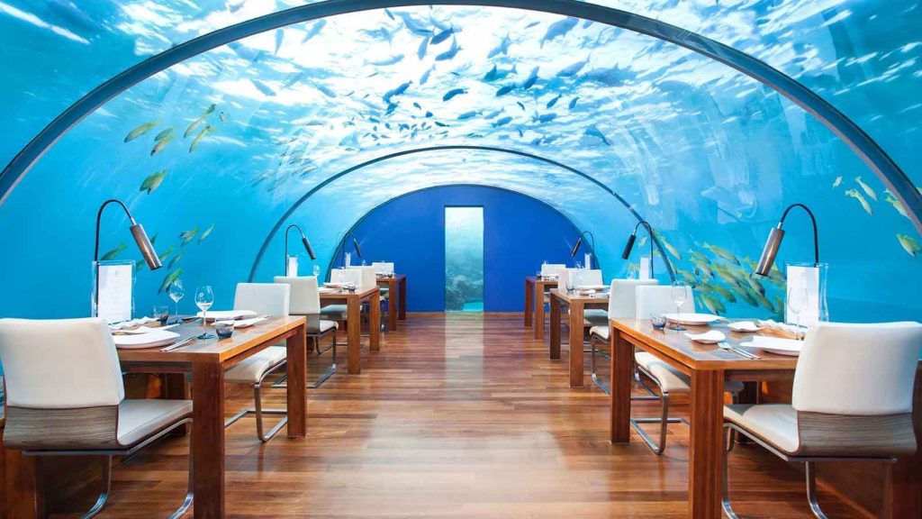 Dining Abroad 5 Unique Dining Experiences That You Should Try Ithaa Undersea Restaurant